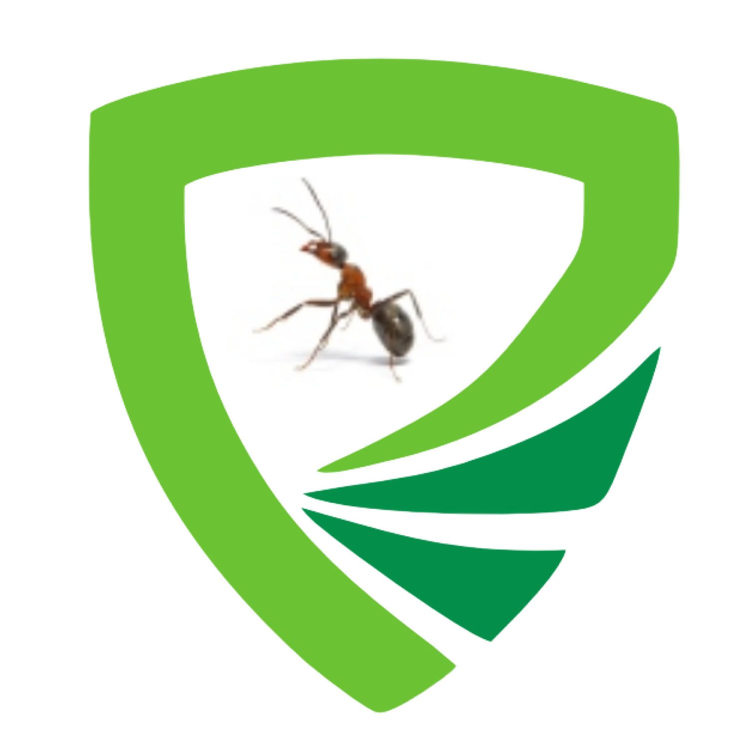 Perfect Pest Control Logo